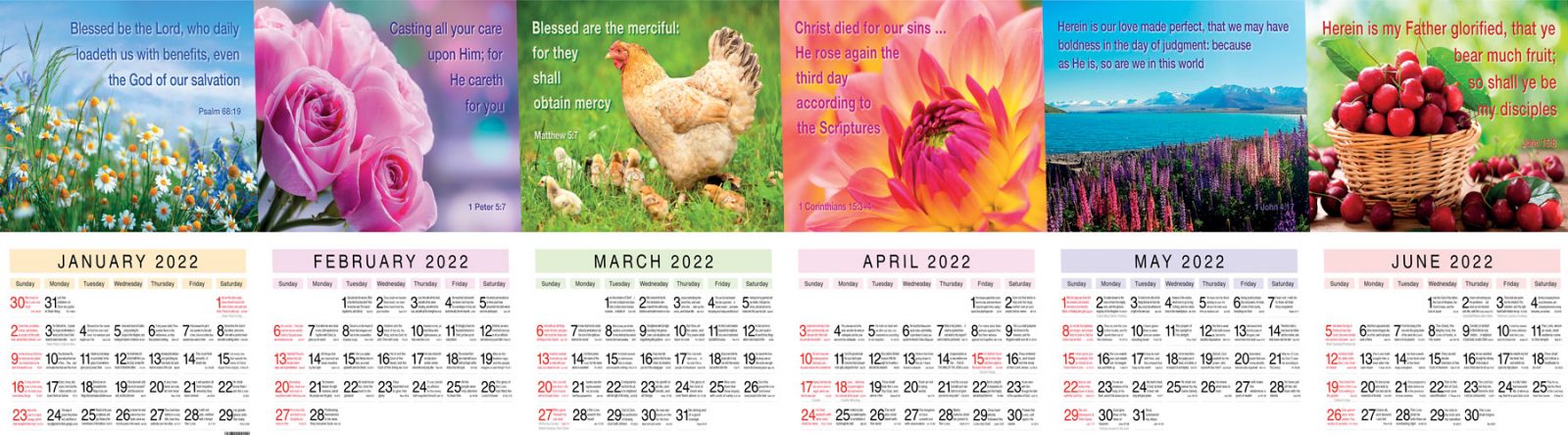 Jan-June22-Montage_Skew-1800x500px