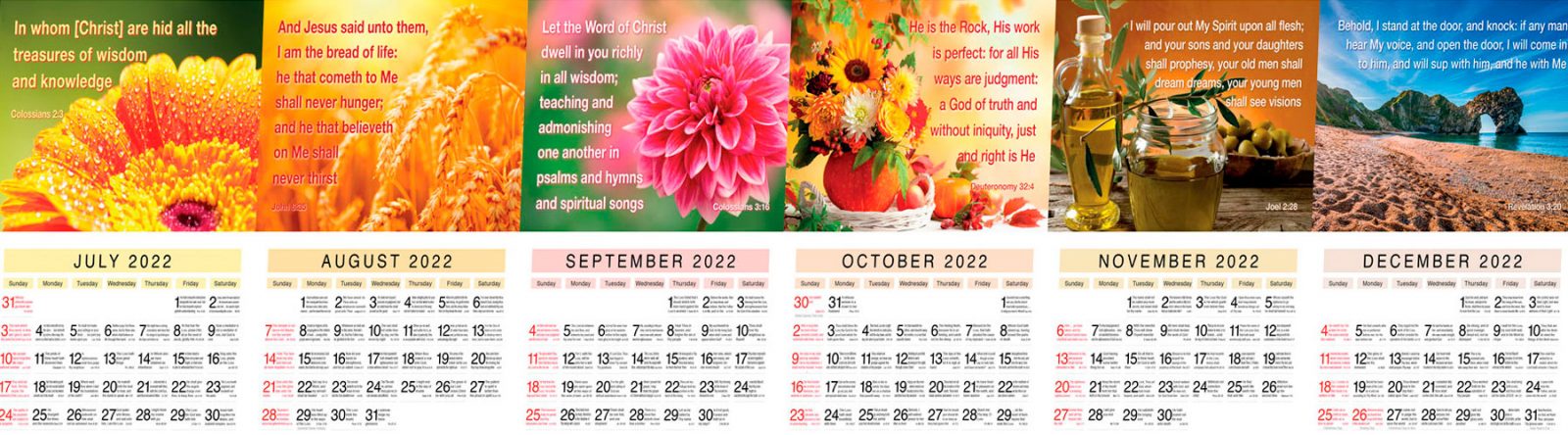 July-Dec22-Montage_Skew-1800x500px